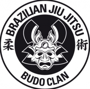 Arti Marziali e Sport da Combattimento - ...il Jiu Jitsu Brasiliano 1