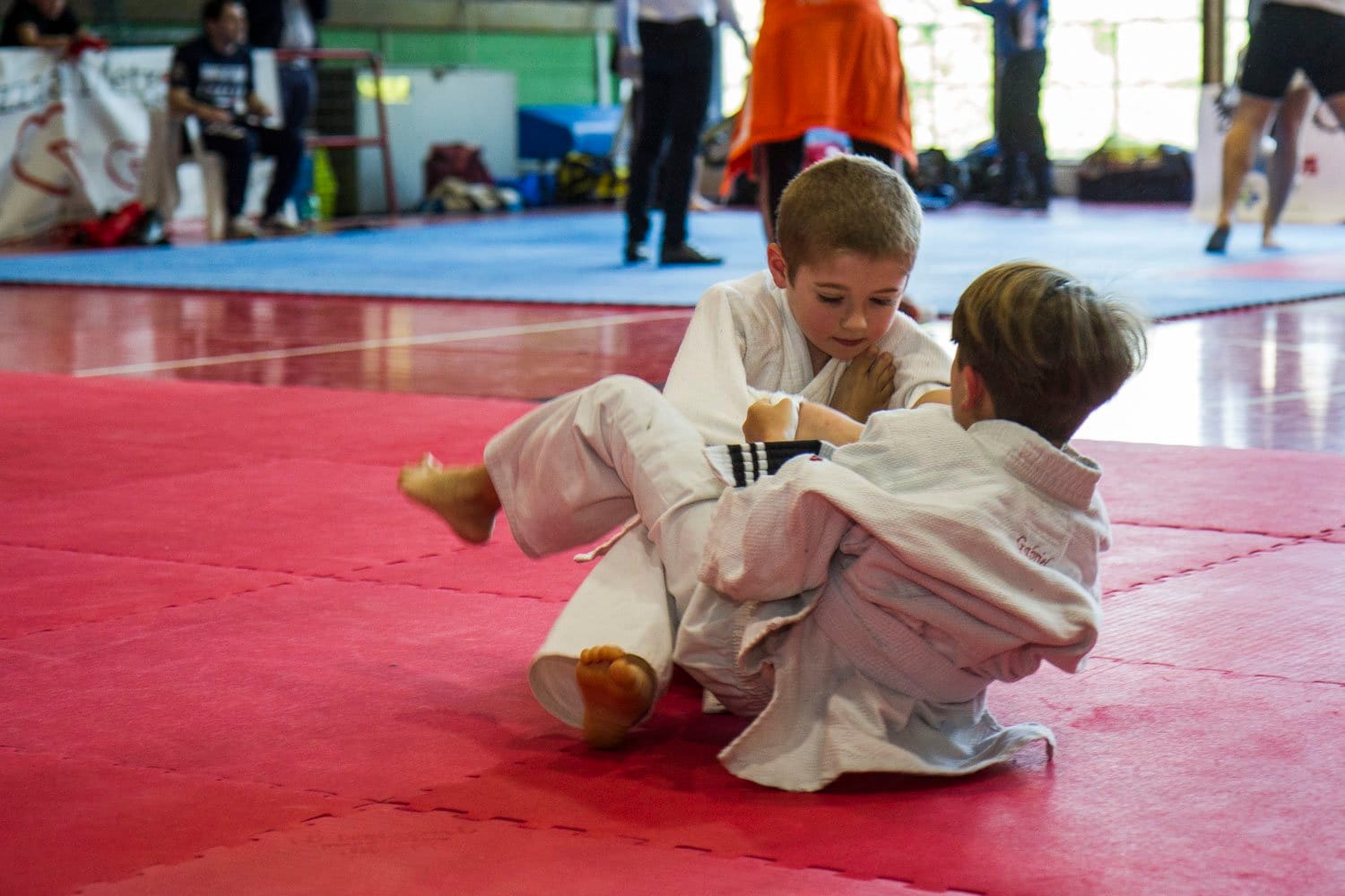 Accademia delle Arti Marziali e Sport da Combattimento - Brazilian Jiu Jitsu 16 Potenza Combat Event 2017 - Bjj