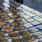 Arti Marziali e Sport da Combattimento - Un'esplosione di euforia..."Campionato Interregionale FIKBMS 2017" - il Palapergola esplode 2