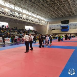 Campionato Interregionale FIKBMS Sud Tatami - Kickboxing, Pointfighting, Kickjitsu