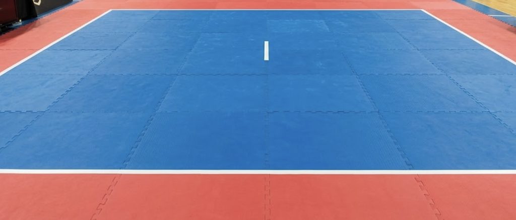 Arti Marziali e Sport da Combattimento - Dea della sconfitta, non domani! Non a noi! 1