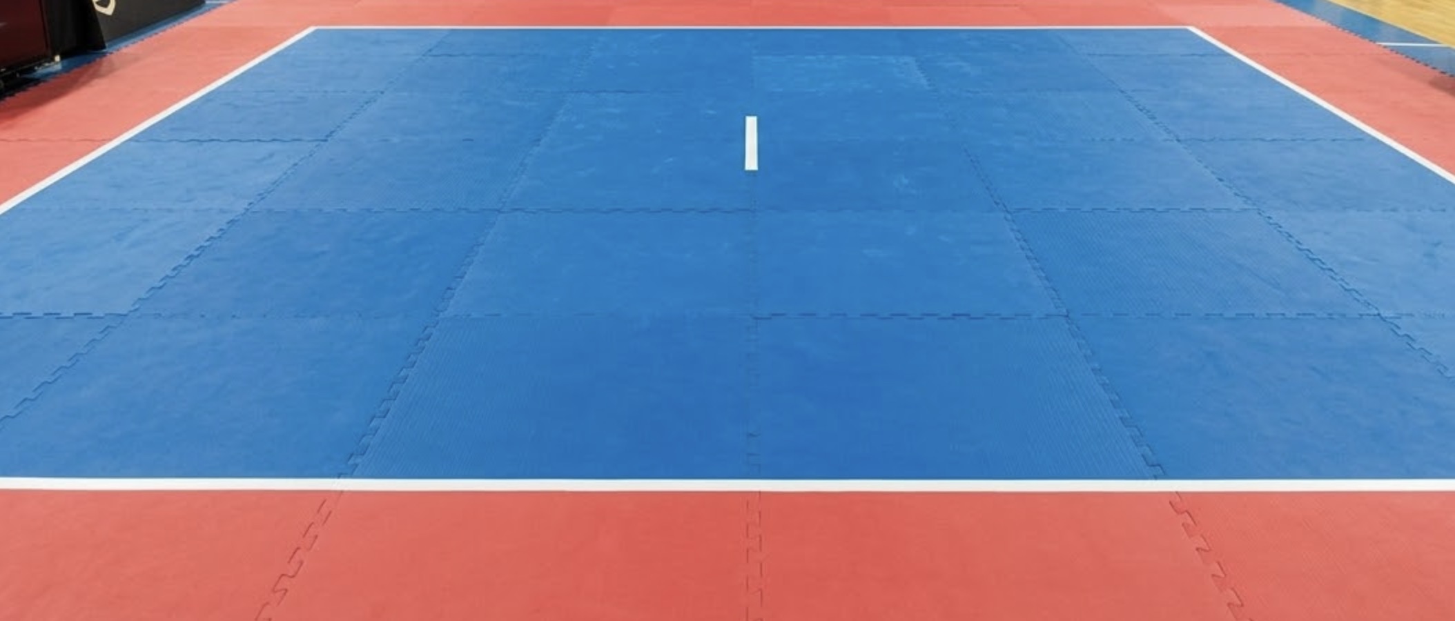 Arti Marziali e Sport da Combattimento - Dea della sconfitta, non domani! Non a noi! 1
